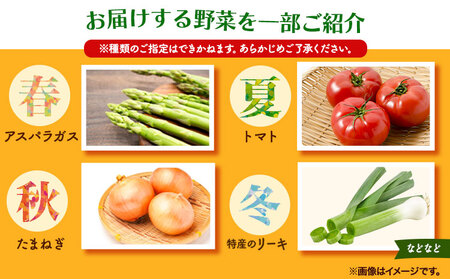 【12ヶ月定期便】旬の新鮮野菜詰め合わせセット