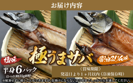 干物 鯖一夜干し 極うまサバ 半身6パック （塩味1枚×3パック 醤油みりん味1枚×3パック）鯖 サバ [m17-b016]