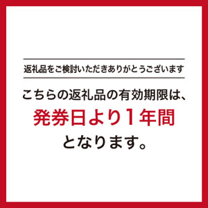 GINZA Global Style オーダースーツ商品券（60000円券） スーツ スーツ スーツ スーツ スーツ