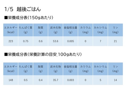 【低たんぱく質食品】【6ヶ月定期便】 1/5 越後ごはん 150g×20個 ×6回 バイオテックジャパン 越後シリーズ 1V36096