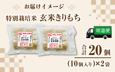 特別栽培米 玄米きりもち 合計20個 [A-020017]  / 餅 モチ