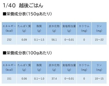 【たんぱく質調整食品】【3ヶ月定期便】 1/40 越後ごはん 150g×20個×3回 バイオテックジャパン 越後シリーズ 1V59054