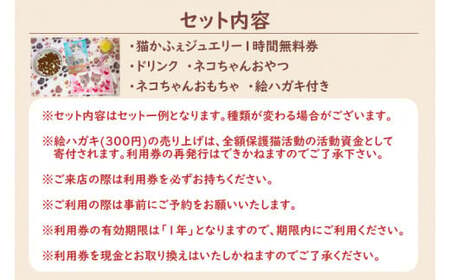 鹿嶋市の癒しの空間　猫カフェでまったり　猫かふぇジュエリー　１時間利用券セット　２名様 （KCS-2）