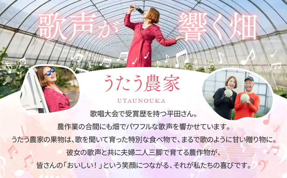 【先行予約】種ごと食べられる！小玉スイカ ピノ・ガール 2玉（1玉2kg前後×2玉）※着日指定不可 ※離島への配送不可 スイカ