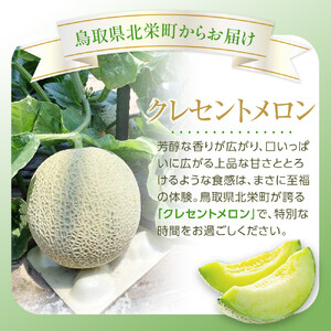 783.【先行予約】青肉メロンの新星「クレセントメロン」満足の２玉セット　※2026年７月中旬より順次発送予定