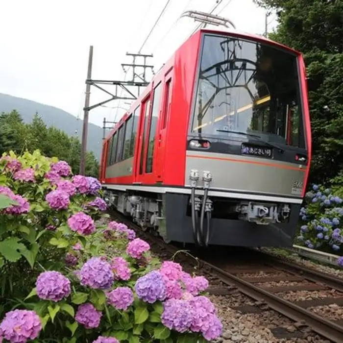 【箱根町】箱ぴたふるさと宿泊補助券（20,000円分）［箱根箱根］