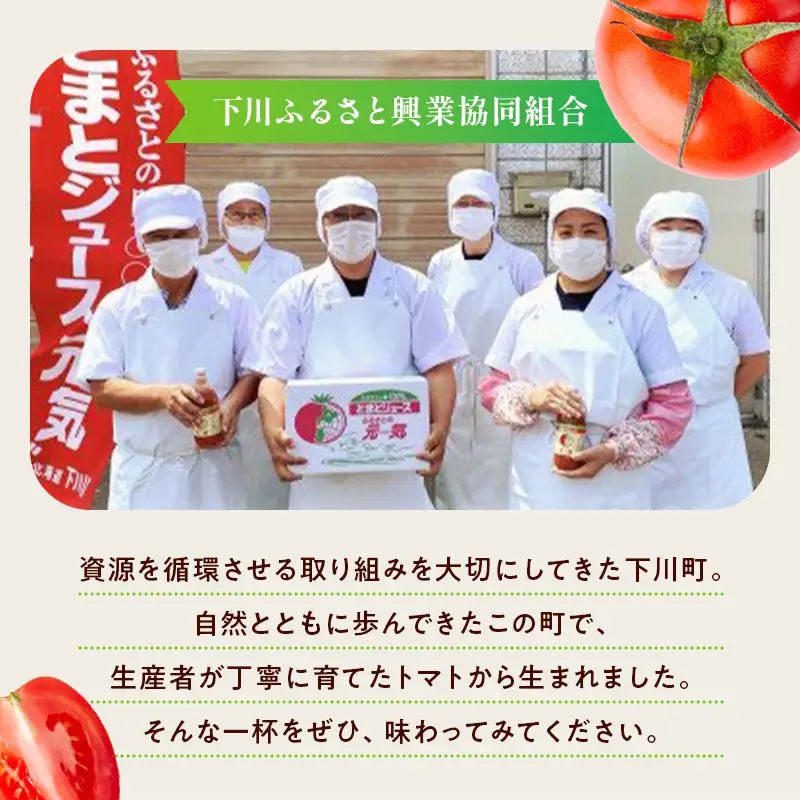 【食塩無添加】とまとジュース「ふるさとの元気」500ml 3本入 トマト 野菜 やさい 故郷 ふるさと 納税 国産 北海道産 北海道 下川町 F4G-0170