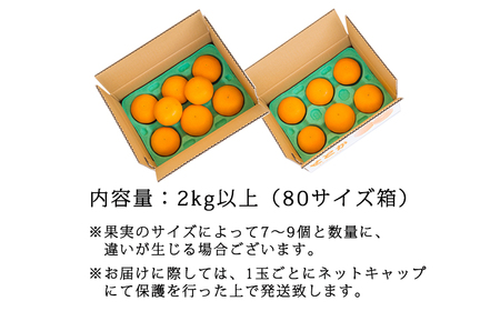 【先行受付・数量限定】柑橘の高級種ブランド 高原町産の柑橘「せとか」ご家庭用 約2kg（大小混合7～9玉） TF0746-P00068