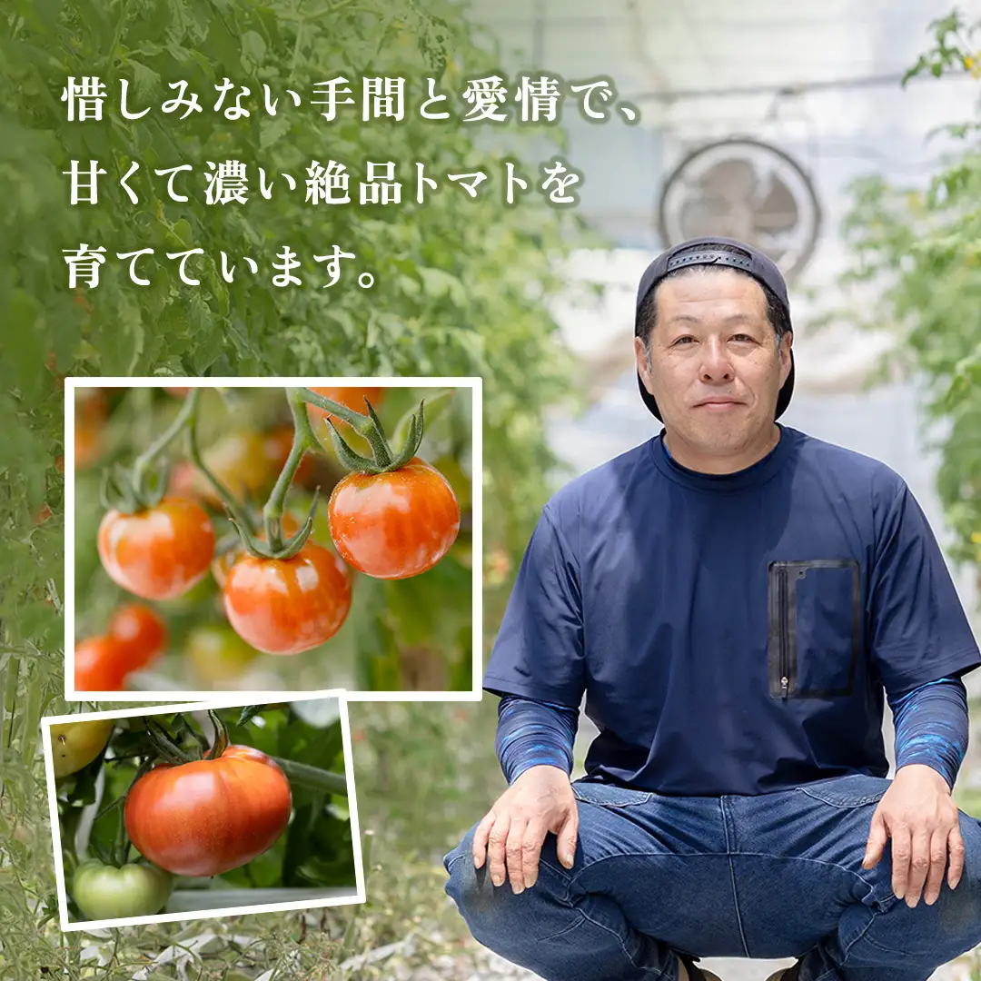 ぜいたくトマト！ 約2kg × 2 合計 約4kg ( 18～24個 ) 