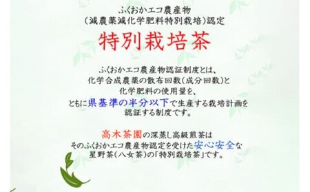 八女茶 奥八女星野村 特別栽培茶 深蒸し 高級煎茶 (深蒸し茶) 100g×2袋 