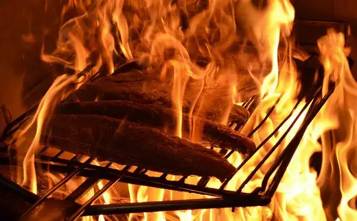 【期間限定】日もどり「生」初鰹藁焼きたたき 2～3節 鰹［1288-2］
