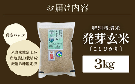 【令和7年産】発芽玄米 特別栽培米 コシヒカリ 3kg 【米 玄米 こしひかり ギャバ GABA 特別栽培 食物繊維 栄養 真空パック ごはん ご飯 おいしい ふるさと納税米】 [A-29101]
