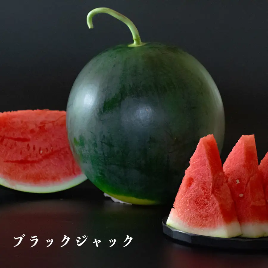 朝採れ すいか 2玉 大玉スイカ （6kg以上） 【先行予約 7月中旬頃より発送】 甘い あまい スイカ 西瓜 羅皇 ブラックジャック 種なし 新鮮 旬 果物 フルーツ 野菜 朝穫り 期間限定 夏ギフト お中元 兼松農園 高知県  大月町産