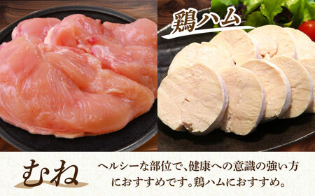 【6回定期便】恵那どり 4種(もも肉2枚 むね肉2枚 手羽先10本 手羽元10本) 小分け(約2-2.2kg×6回) [TEZ015]