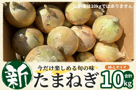 甘～い！新鮮！新たまねぎ 約10kg (MLサイズ）生産者直送！★大自然育ち【2026年4月より順次発送】タマネギ 玉葱 新タマ 新玉ねぎ サラダ 惣菜 お料理 ストック 箱買 美味しい 甘い 常備野菜 佐賀県 鹿島市産 人気 送料無料 B-737
