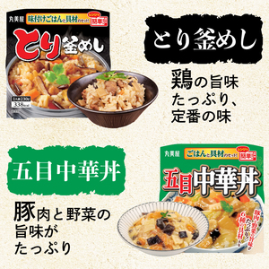 レンジで簡単！ごはん付き 4種類セット レトルト レトルト レトルト レトルト レトルト J87 