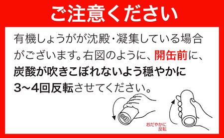 【6ヶ月定期便】 ジンジャーエール  光食品
