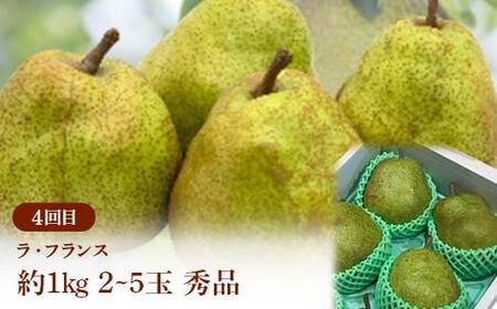 ≪2026年先行予約≫ 全4回 やまがた　食べきりの秋フルーツ定期便 FSY-2392