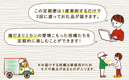 みかん定期便 全3回 陽だまりミカン 家庭用 みかん定期便 B045-050005