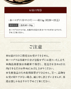 KKN水産 天然!! 有明海産の本ハマグリ（中サイズ 約１㎏） _U111-0003