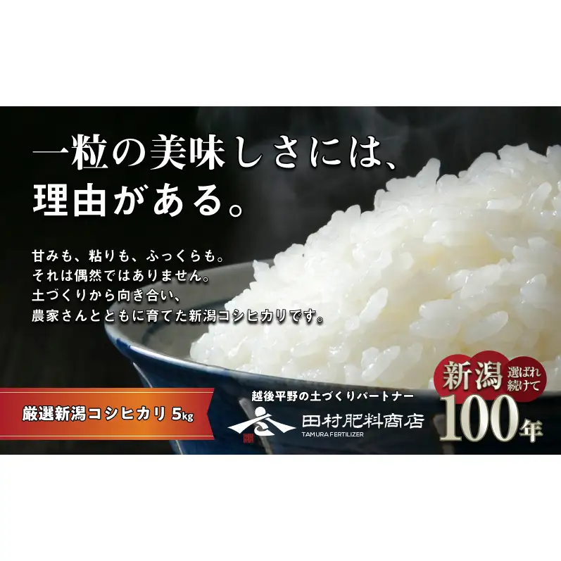 新潟産コシヒカリ 5kg お米 