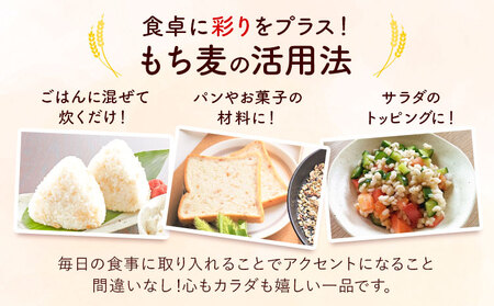 有機JAS もち麦 合計1kg 200g×5袋 渡辺農産 《90日以内に出荷予定(土日祝除く)》 熊本県 菊池市 もちむぎ ダイシモチ 国産 九州産 熊本県産
