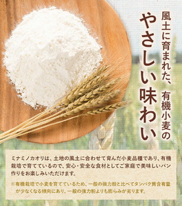有機JAS小麦使用 強力粉 合計3kg 1kg×3袋 《30日以内に出荷予定(土日祝除く)》熊本県 菊池市 小麦粉 ミナミノカオリ パンづくり 粉類 国産 九州産 熊本県産 送料無料