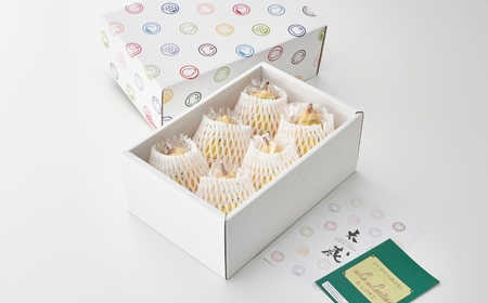 【2026年先行予約】新潟特産「幻の洋梨」ル・レクチェ【贈答用】 2kg（5~7玉）《11月下旬~出荷》 果物 洋梨 梨 冬の味覚 産地直送 加茂市 太蔵ファーム