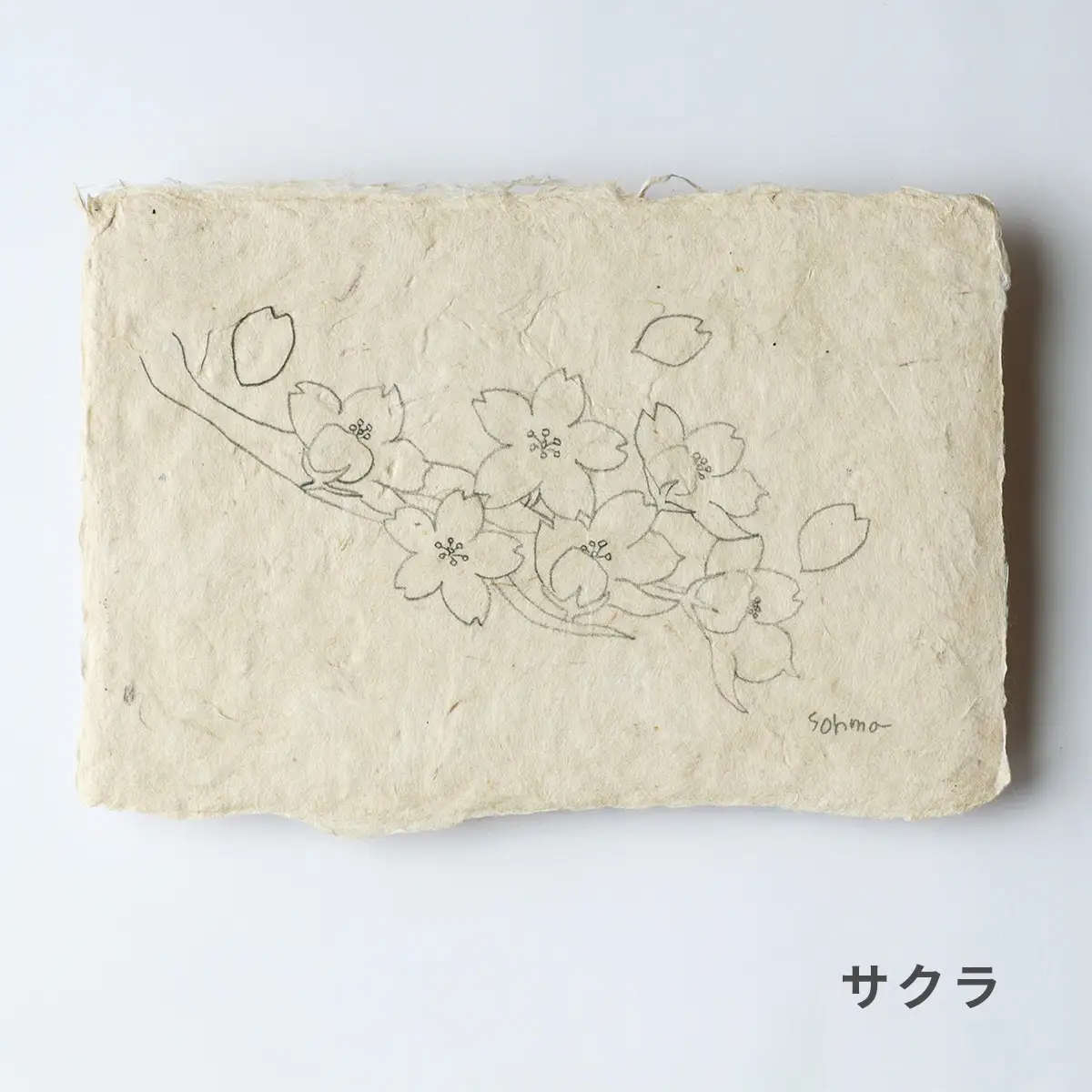 【奏華舎】土佐和紙カード＆染紙封筒セット（ボタニカル / アソート３種）