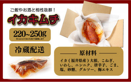 [058-a022]イカキムチ（オジンオキムチ） B318:B327