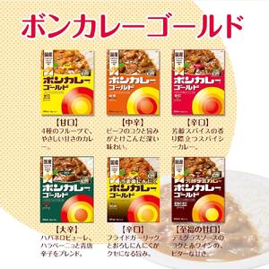 【定期便 全9回】ボンカレーゴールド（辛口）30個×9回　計270個