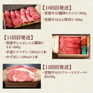 12ヶ月 定期便 肉 常陸牛 Bコース  肉のイイジマ（DU-112）