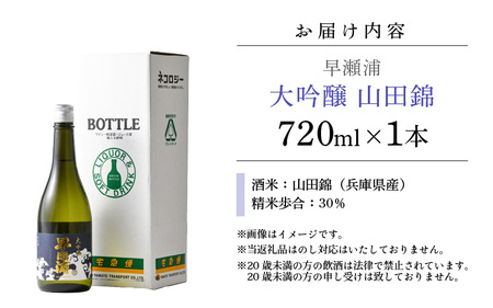早瀬浦 大吟醸 山田錦 720ml × 1本 【入手困難 日本酒 就職祝い 転職祝い ハレの日 ギフト プレゼント お祝い お返し お礼 お中元 お歳暮 父の日 敬老の日 】[m06-b008]