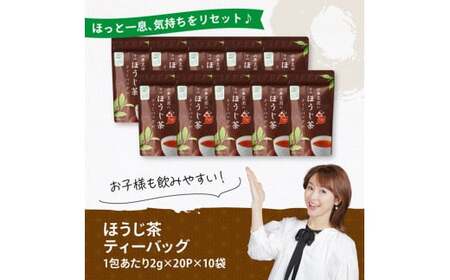 宮崎県産茶　ほうじ茶ティーバッグ20P 10袋セット 【 日本茶 国産茶 ほうじ茶 お湯出し ティーバッグ 】