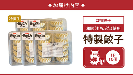 口福餃子「和（もち）豚」使用 特製餃子（冷凍生） _U119-0001