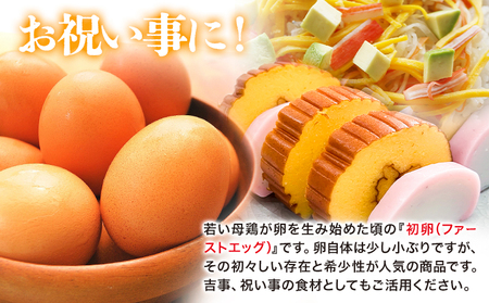 卵 たまご 6ヶ月 定期便 赤玉 ファーストエッグ 60個《お申込み月翌月から出荷予定(土日祝除く)》株式会社めぐみ 岡山県 浅口市 送料無料 30個 × 2セット 食卓 産みたて 初卵 希少
