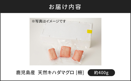 鹿児島産 天然 キハダマグロ 柵 約400g K100-005 魚 冷凍