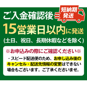 ラーメン セット 一蘭 ちぢれ麺 袋ラーメン スープ 1人暮らし 計10食