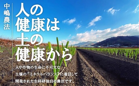 原田兄弟の一番玉ねぎ３kg