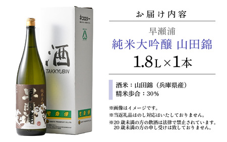 入手困難 早瀬浦 純米大吟醸 山田錦 1800ml × 1本 【入手困難 日本酒 就職祝い 転職祝い ハレの日 ギフト プレゼント お祝い お返し お礼 お中元 お歳暮 父の日 敬老の日】[m06-e001]