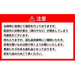 【訳あり】 愛南ゴールド 約10.5kg 柑橘 フルーツ みかん 河内晩柑  