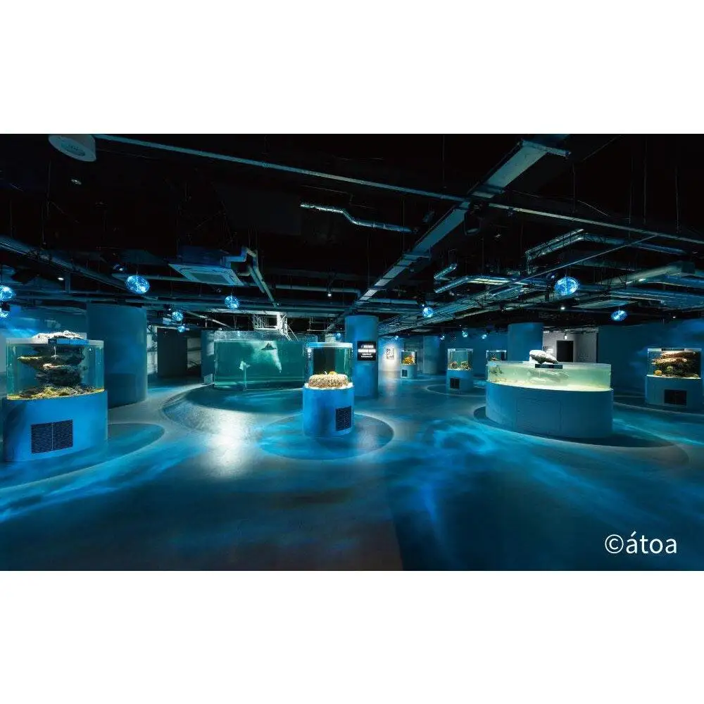 神戸の港の水族館　AQUARIUM ×ART atoa　夜間貸切利用＜2時間＞