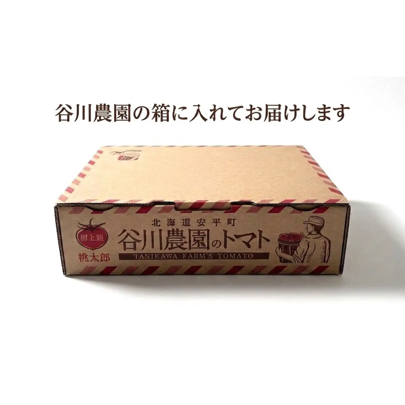 トマト  ＜先行予約＞ 2kg箱(10～15玉入) 樹上熟3段採り 桃太郎トマト 北海道 安平町 【1472504】