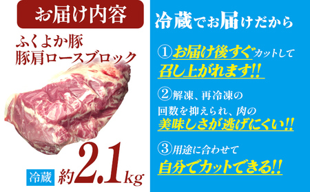 豚肉 肩ロースブロック 約2.1kg 豚肉