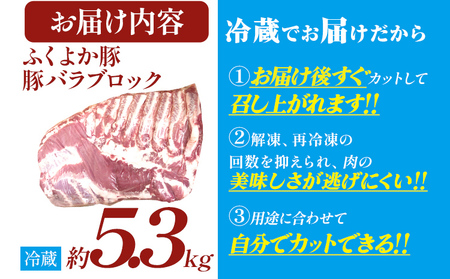 豚肉 バラブロック 約5.3kg 豚肉