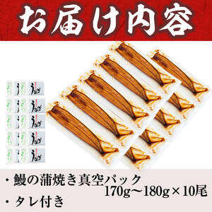 うなぎの大楠＜特大＞10尾セット計1.7kg(170g×10) うなぎ 鰻 ウナギ 10尾 国産 九州産 蒲焼き かばやき 冷凍 うな重 ひつまぶし タレ 山椒 真空パック ランキング 人気 g4-017