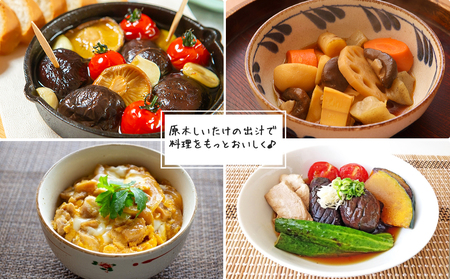 宮崎県産 乾燥 椎茸 40g×3袋 チャック袋入 [ HUTTE 宮崎県 美郷町 31ao0012]