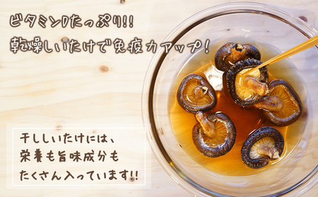 宮崎県産 乾燥 椎茸 100g×1袋 チャック袋入 [ HUTTE 宮崎県 美郷町 31ao0013]