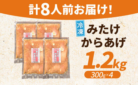 元祖みたけからあげ（300g×4袋） [AVAA007]唐揚げ から揚げ