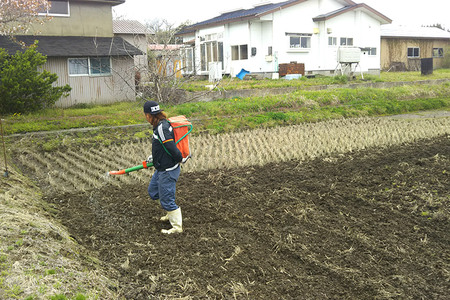 《令和7年産》あきたこまち 精米 5kg 秋田県 男鹿市産 吉元耕業 おにぎり お弁当